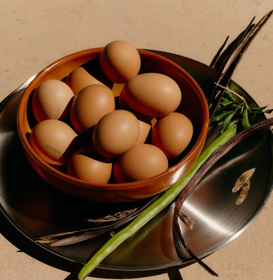 Master Operational Efficiency with Systemized Restaurant Training